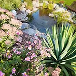 D'hotes Et Meubles Les Hortensias B&B Lillers