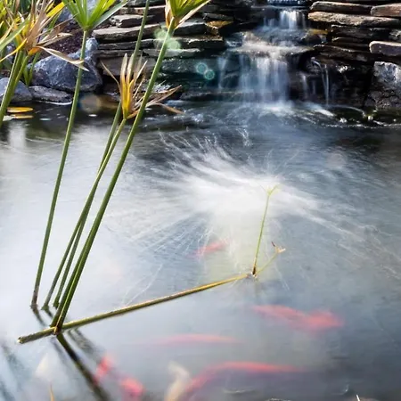 Et D'hotes Les Hortensias 3*
