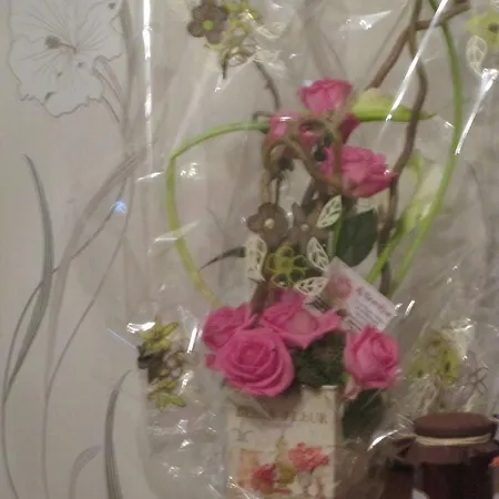 ベッド・アンド・ブレックファスト D'hotes Et Meubles Les Hortensias Lillers
