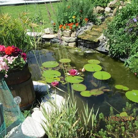 Les Hortensias Bed & Breakfast