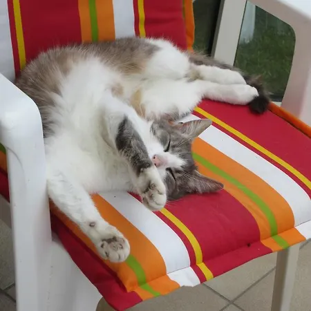 Couette-café Et D'hotes Les Hortensias