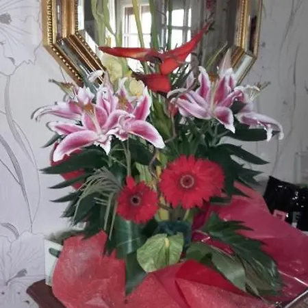 Couette-café Et D'hotes Les Hortensias