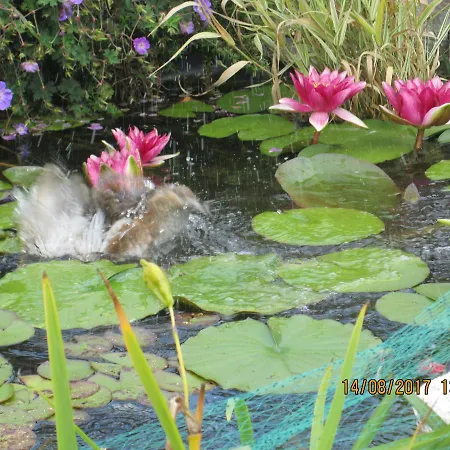 Couette-café Et D'hotes Les Hortensias