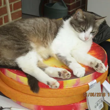 Et D'hotes Les Hortensias 3*