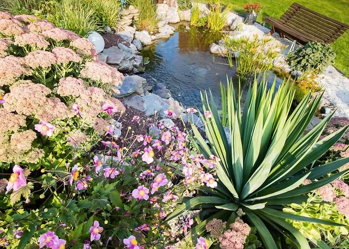 Chambres D'Hotes Et Meubles Les Hortensias Frühstückspension Lillers